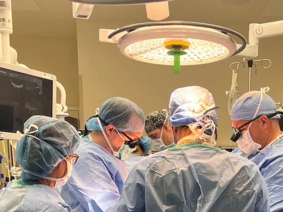 Vascular Surgery | Department of Surgery